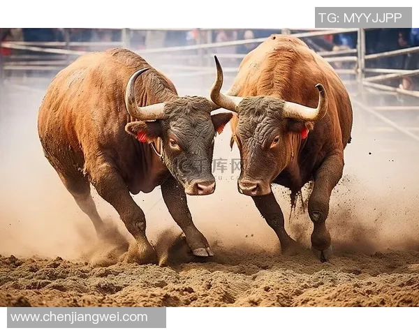 2019年1月12日勇士与公牛激战回顾精彩瞬间与赛场亮点分析