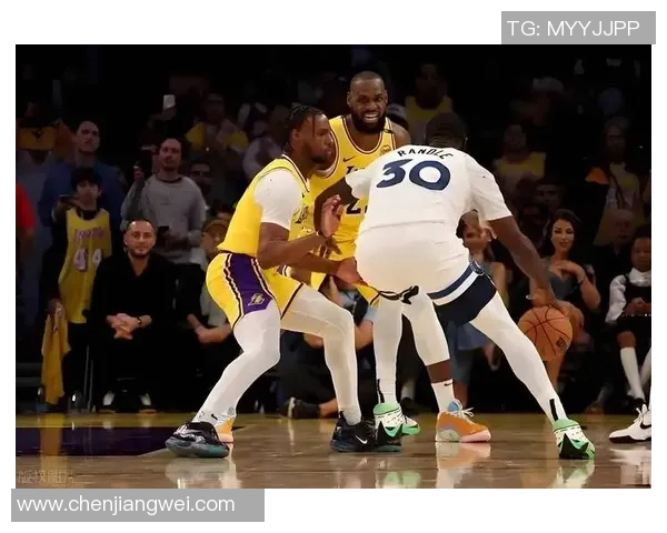 2014年湖人与森林狼精彩对决全场录像回顾与分析